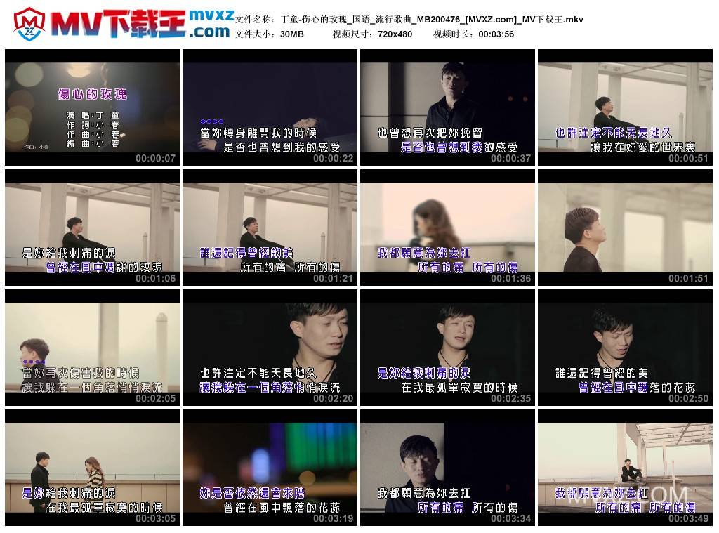 丁童-伤心的玫瑰_国语_流行歌曲_MB200476